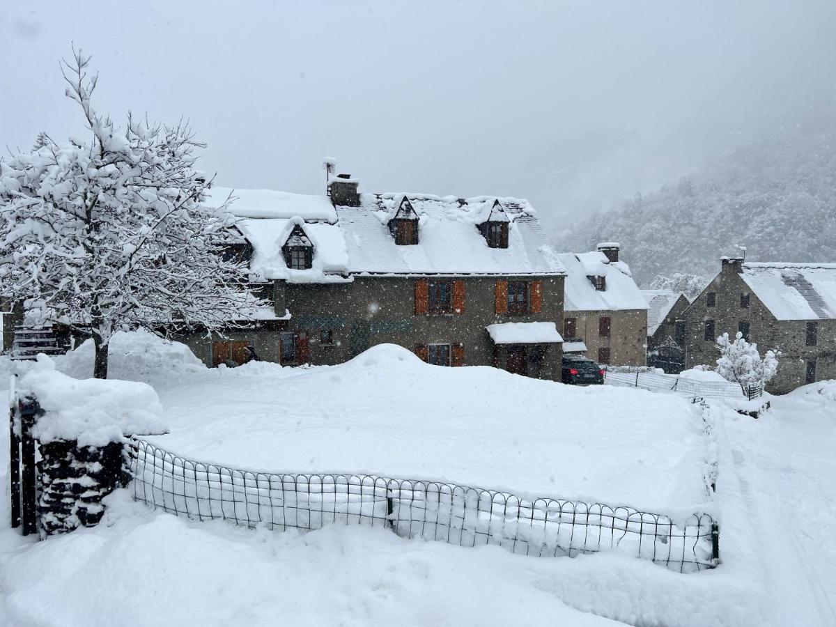 Marmotte Gite 2A4 Personnes Avec Cheminee A 10Mn Des Pistes Aragnouet Extérieur photo